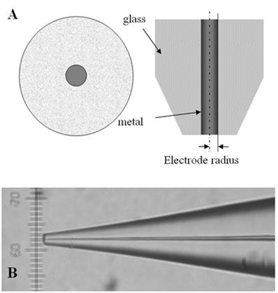 W przypadku elektrody dyskowej transport dyfuzyjny do jej powierzchni odbywa się zgodnie z modelem jednowymiarowej dyfuzji liniowej: W konsekwencji prąd graniczny (w warunkach bez konwekcji) opisany