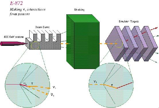 Detection of ν τ DONUT 800 GeV protons produced