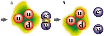 Jądro1 Jądro2+ e+ ν w jądrze jeden nukleon ulega