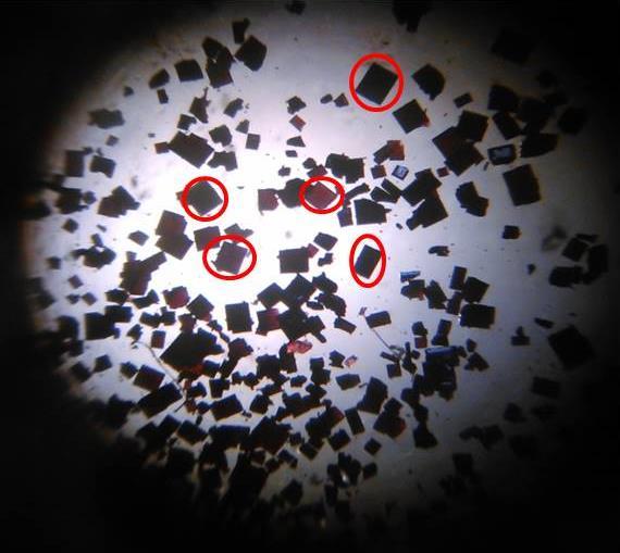 III. Część eksperymentalna Odczynniki Monokryształy wybranego kompleksu Aparatura pomiarowa Dyfraktometr rentgenowski Oxford Diffraction Gemini A Ultra