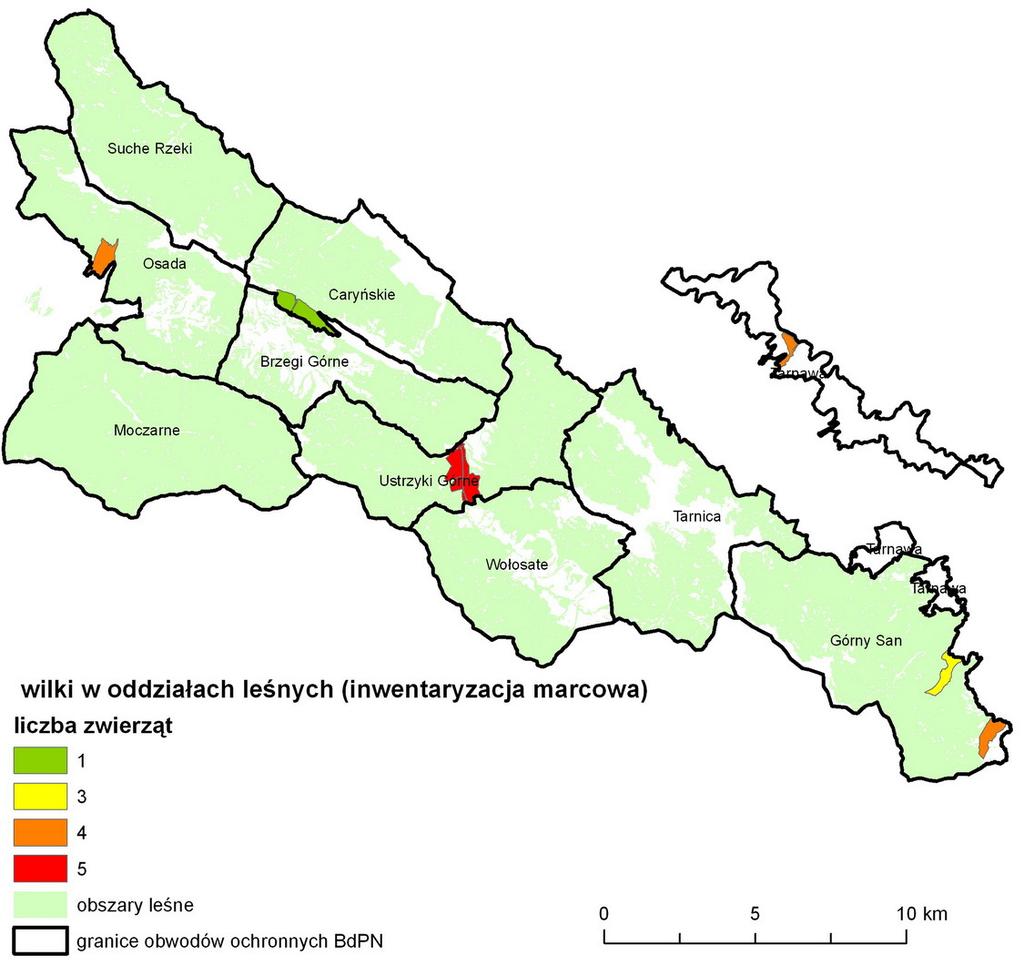 W dwóch kolejnych dniach inwentaryzacji marcowej na obszarze BdPN wilki zlokalizowano w 5 obwodach ochronnych: Wołosate (IZ=0,22), Osada (IZ=0,12), Górny San (IZ=0,10), Tarnawa (IZ=0,04) i Caryńskie