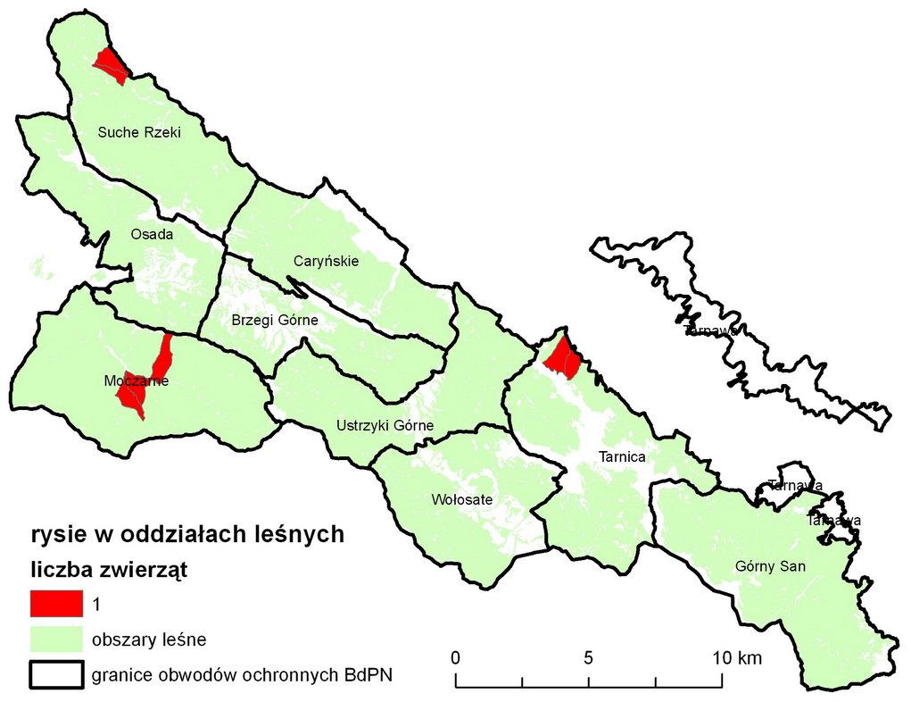 Indeksy zagęszczeń tropów rysi Inwentaryzacja przeprowadzona w dniach 21-22.01.