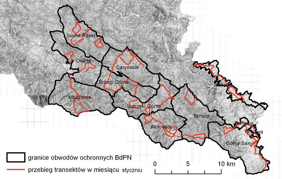 Obszar inwentaryzacji i zakres prac terenowych Inwentaryzacja objęła 10 obwodów ochronnych na terenie Bieszczadzkiego Parku Narodowego.