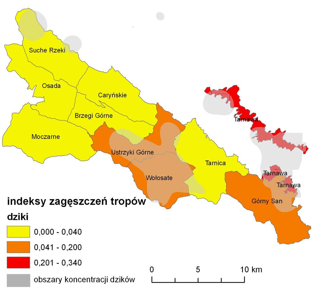 Indeksy zagęszczeń tropów dzików Dystrybucja indeksów zagęszczeń tropów dzików pokrywa się z wyznaczonymi w sezonie 2009 obszarami wyspowej koncentracji dzików na obszarze Parku.