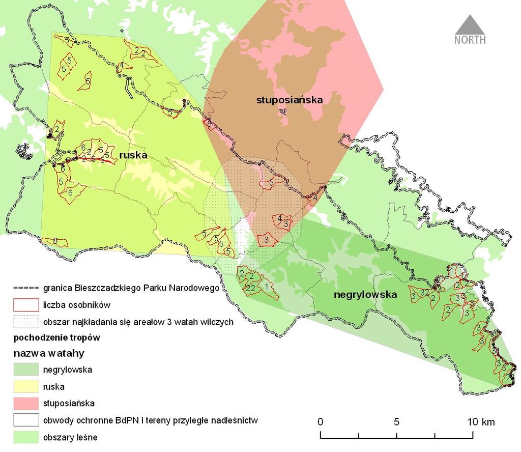 Stwierdzenia tropów wilków W ramach akcji inwentaryzacyjnych, prowadzonych w grudniu 2010 roku oraz lutym 2011 roku odnotowano duŝą aktywność wilków.