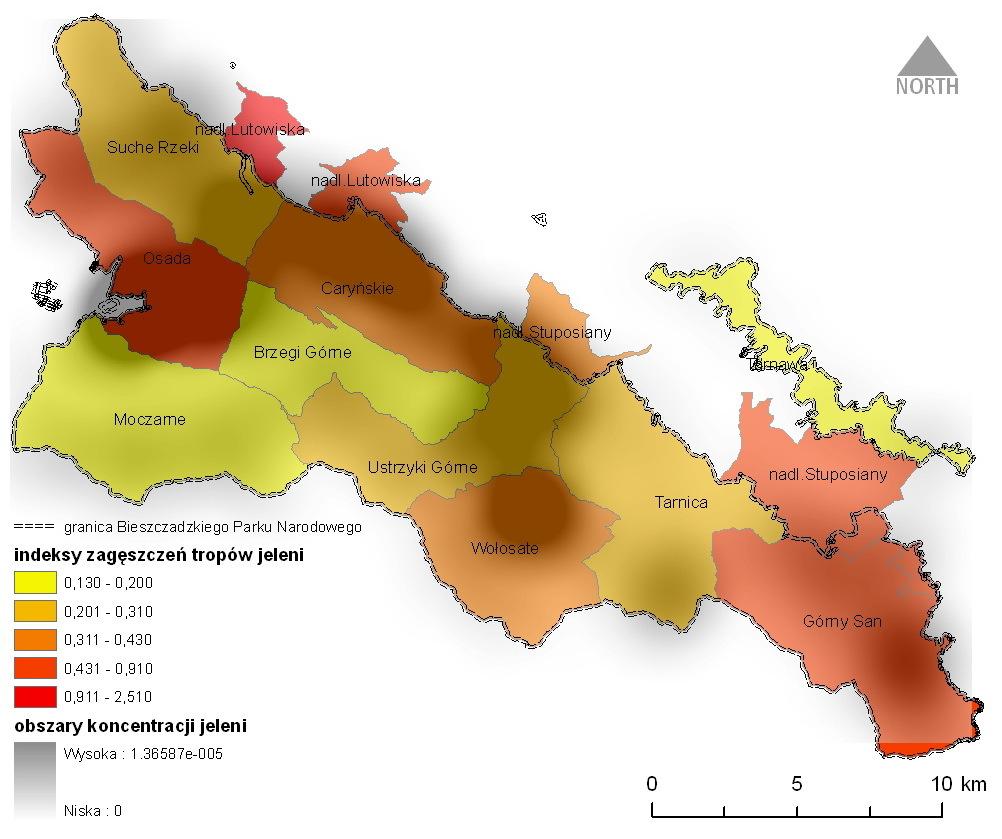 Tendencja wzrostu indeksów zagęszczeń tropów w obwodach Tarnica i Górny San równieŝ znajduje potwierdzenie w wynikach liczenia skupisk odchodów jeleni na terenie Parku.