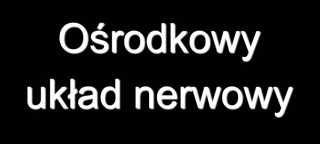 Ośrodkowy układ nerwowy Pracownia