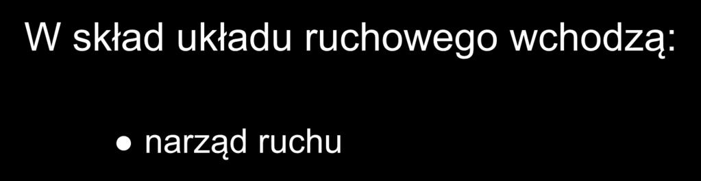 W skład układu ruchowego wchodzą: narząd ruchu