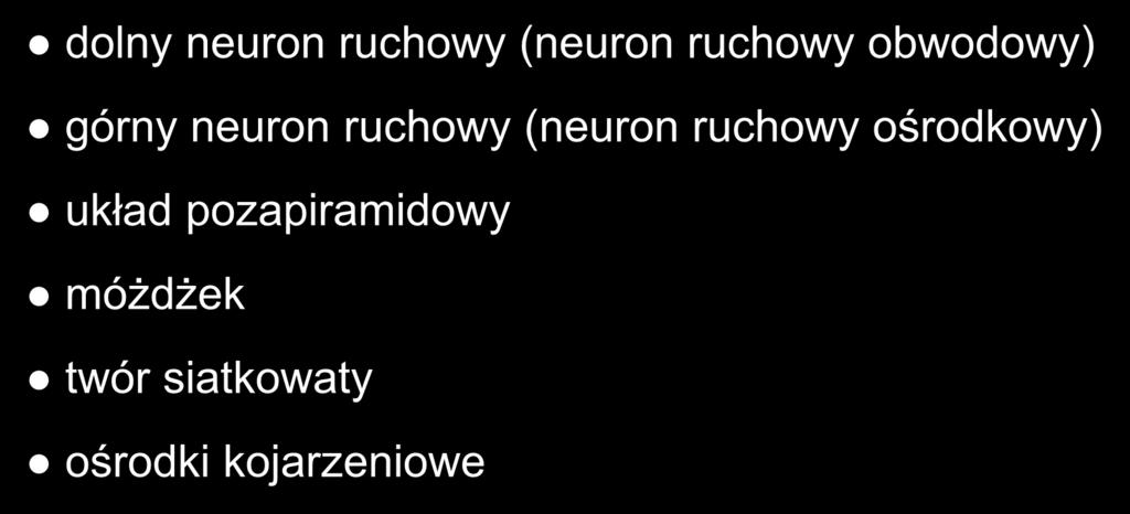 pozapiramidowy móżdżek twór siatkowaty ośrodki