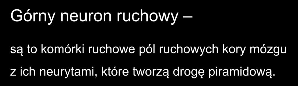 Górny neuron ruchowy są to komórki ruchowe pól ruchowych kory mózgu z ich