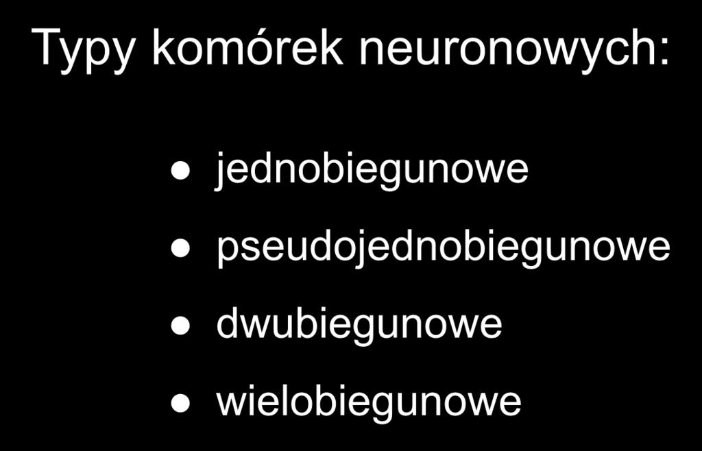 Typy komórek neuronowych: jednobiegunowe pseudojednobiegunowe