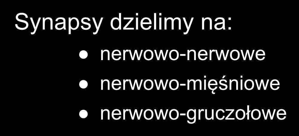 W skład synapsy wchodzi: błona presynaptyczna szczelina synaptyczna błona postsynaptyczna Synapsy