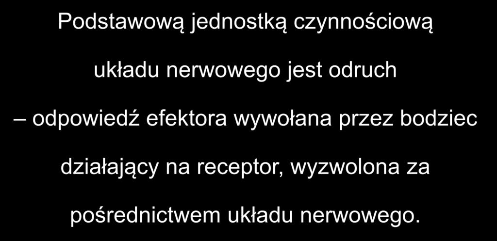 Podstawową jednostką czynnościową układu nerwowego jest odruch odpowiedź efektora wywołana przez bodziec