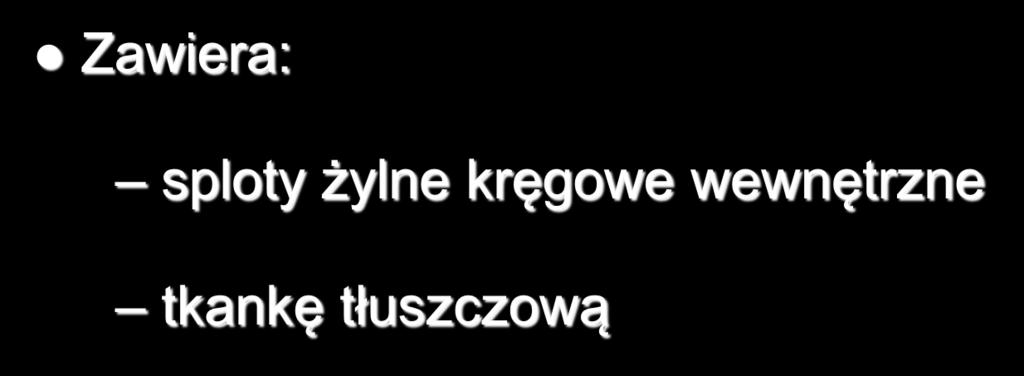 Przestrzeń nadtwardówkowa Zawiera: sploty żylne kręgowe