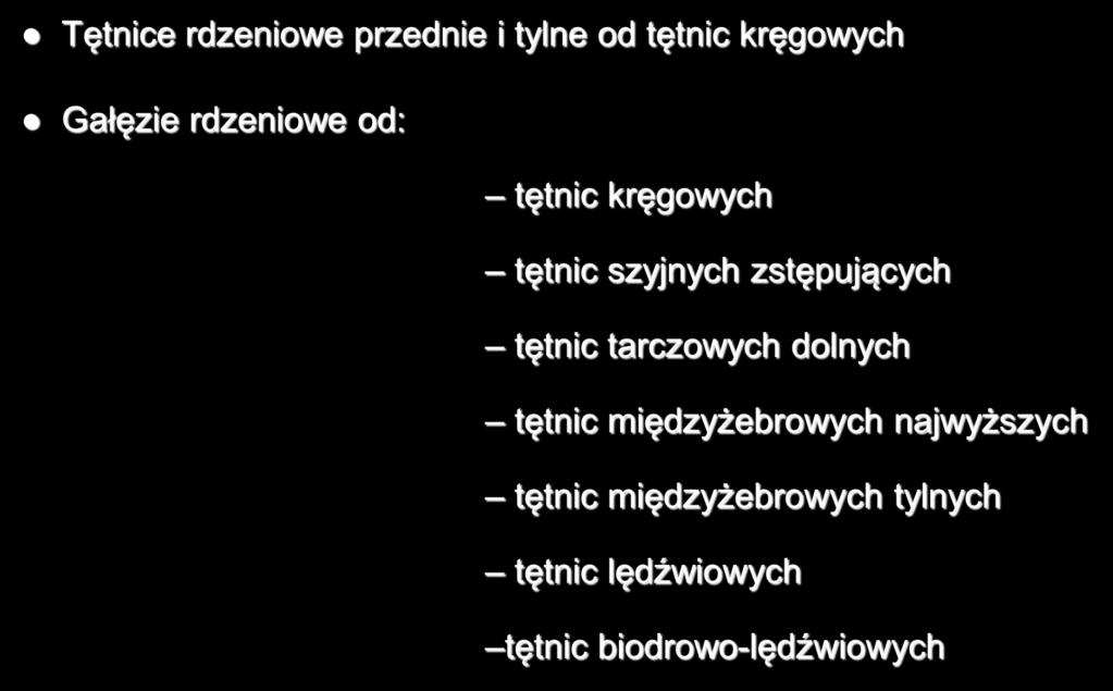 Unaczynienie rdzenia kręgowego Tętnice rdzeniowe przednie i tylne od tętnic kręgowych Gałęzie rdzeniowe od: tętnic kręgowych w odcinku szyjnym tętnic szyjnych zstępujących tętnic tarczowych dolnych