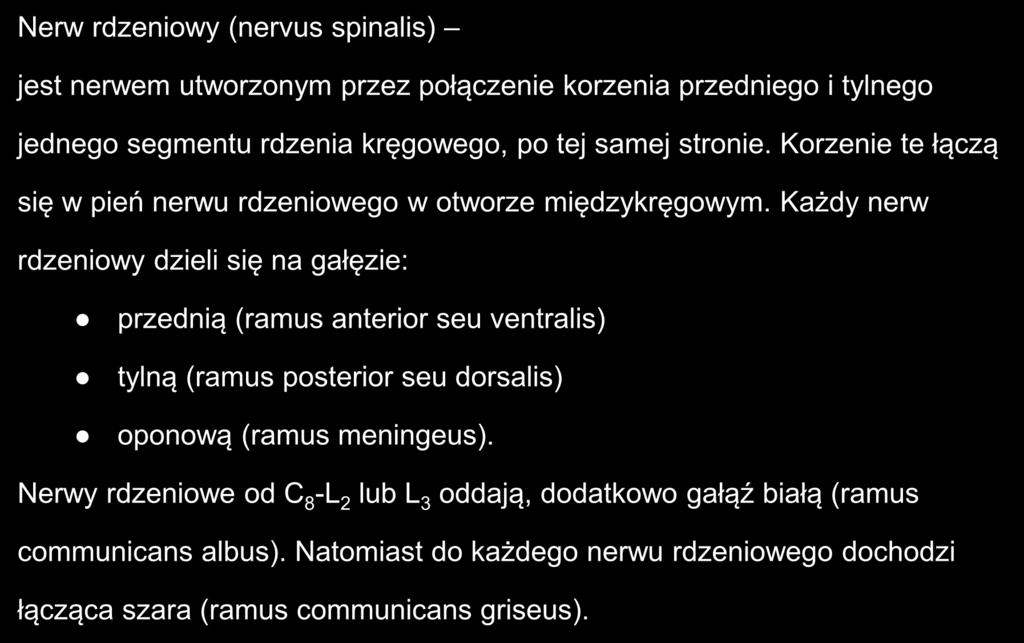 Nerw rdzeniowy (nervus spinalis) jest nerwem utworzonym przez połączenie korzenia przedniego i tylnego jednego segmentu rdzenia kręgowego, po tej samej stronie.