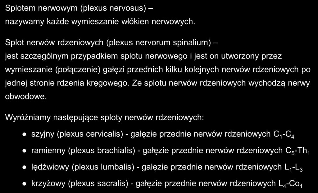 Splotem nerwowym (plexus nervosus) nazywamy każde wymieszanie włókien nerwowych.