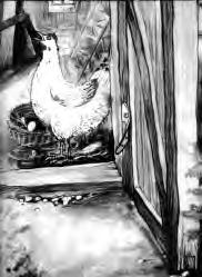 Ilustracja 2 Bia³a przy koszyku Terry przyniós³ z szopy stary koszyk, w³o y³ do niego trochê siana i uwi³ prawdziwe wyj¹tkowe gniazdko w stodole.