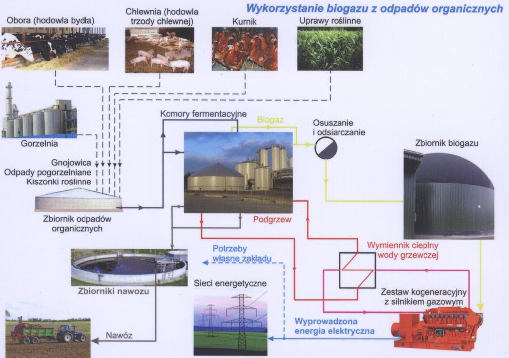 BIOGAZOWNIE Źródło: HOST BV SKOJARZONE UKŁADY