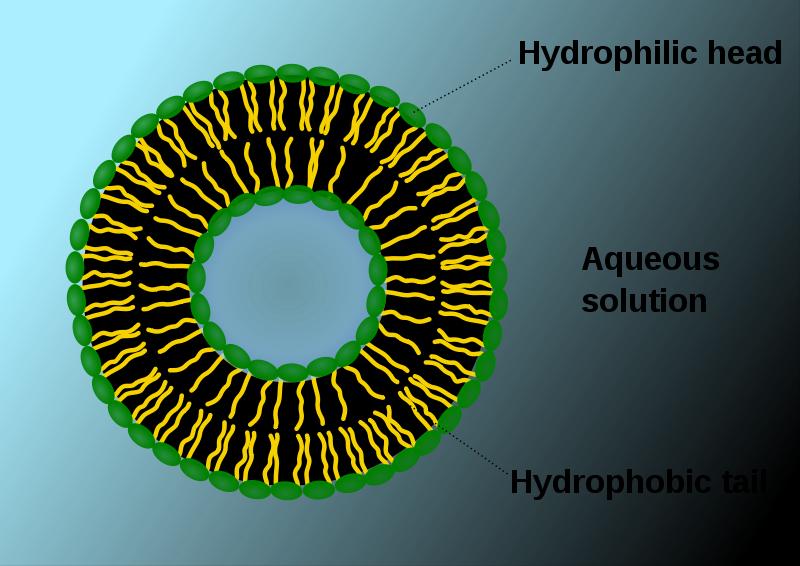 Samoorganizacja micelle