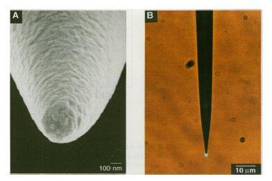 Park, et al., JVST B 16 (1998) 3891 http://www.physik.uni-wuerzburg.de/ TEP/index.html H. F.