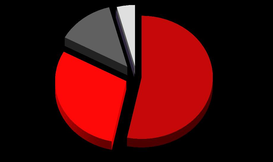 Akcje Medyczne 12,9% Pozostałe 4,1% Pacjenci indywidualni 53,3% Podmioty medyczne 29,6% W II kwartale 2015 roku przychody Grupy Kapitałowej generowane były w głównej mierze przez świadczenie usług