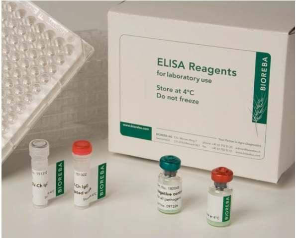 Test biologiczny Test ELISA z