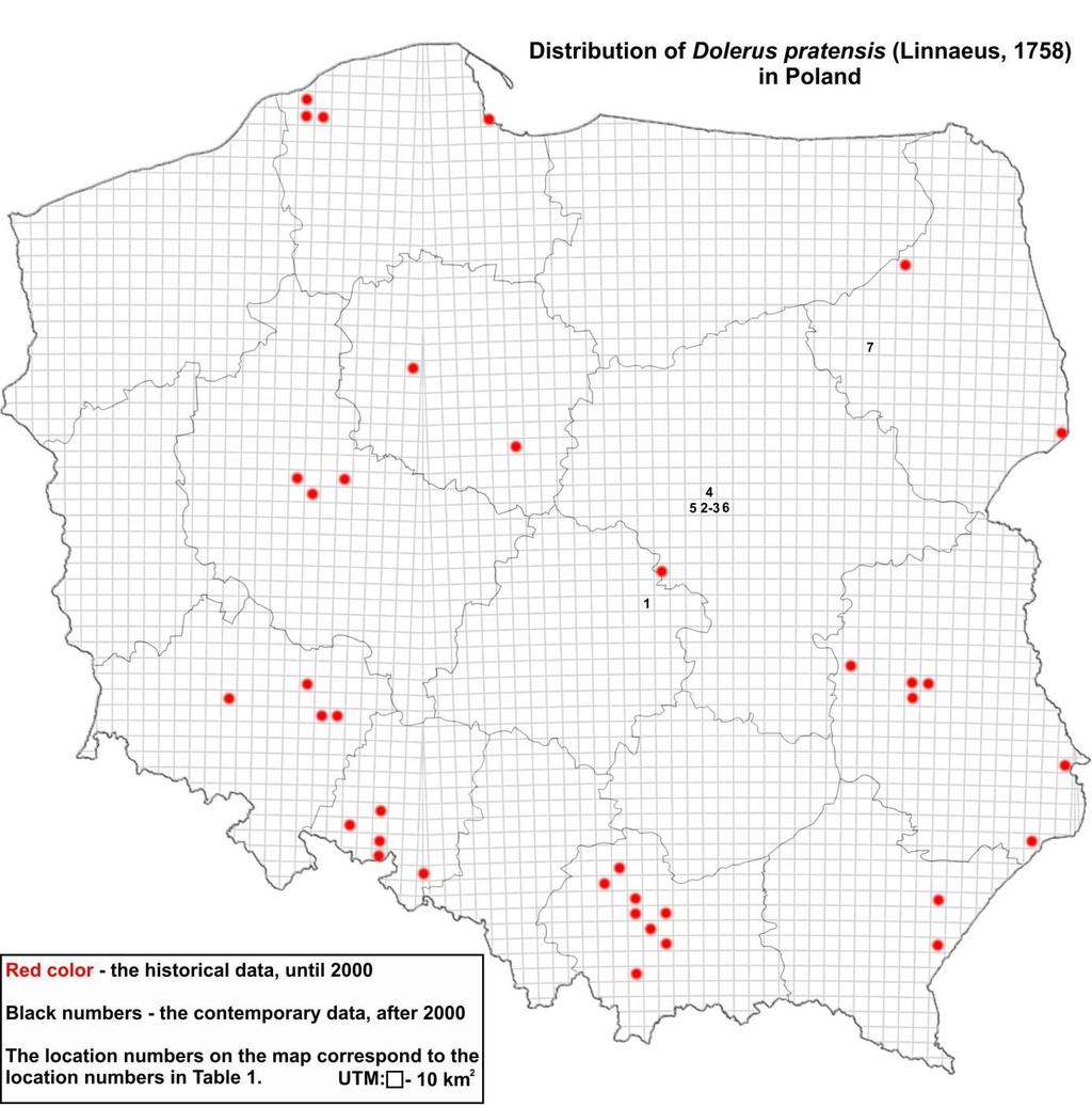 Map 1. Distribution of Dolerus pratensis (L.) in Poland. Dolerus (Equidolerus) pratensis (Linnaeus, 1758) (Fig.