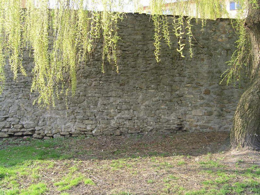 Fot. 7.