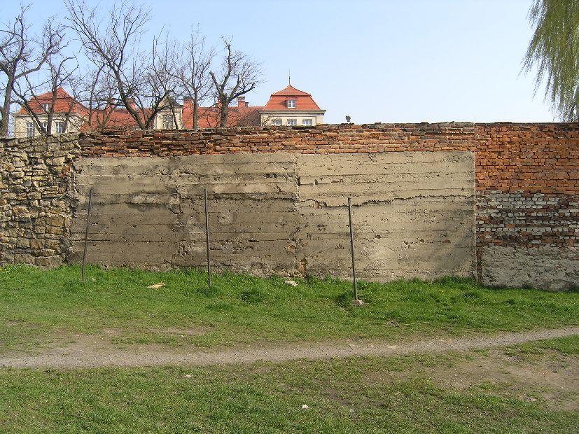 Fot. 15.
