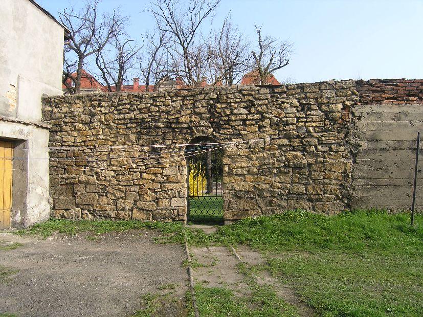południowej, widoczne zniszczenia korony. Fot. 16.