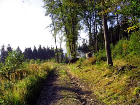 Turystyka piesza i rowerowa po prawej stronie Borowego Jaru Ścieżka "Nad Bobrem", to połączenie Jeleniej Góry z Perłą Zachodu lub Siedlęcinem, wzdłuż brzegu Bobru.