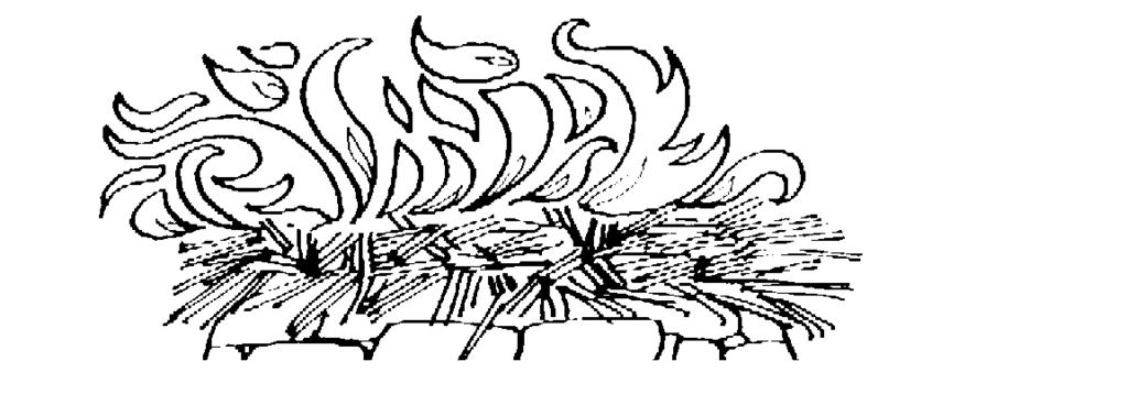 M C9/3 Zakreœl PRAWID OWE s³owa w nawiasach. 1. Zbudowali (trzy, dwa, cztery) o³tarze z (drzewa, siana, kamienia). 2. Na ka dym o³tarzu umieœcili (koz³a, jagniê, cielca). 3.