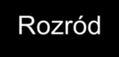 Rozród Wiosną samica kreta zakłada komorę lęgową, do której prowadzi cały labirynt podziemnych korytarzy.