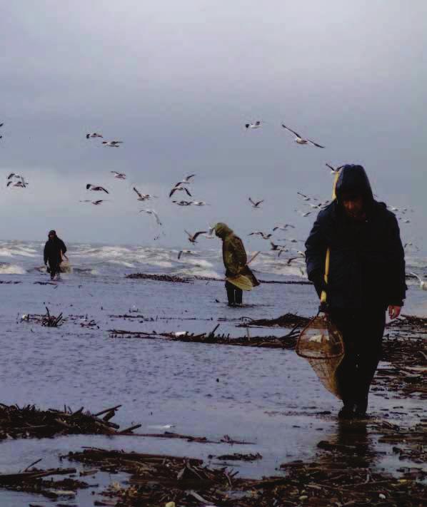 Sposób poławiania bursztynu nie zmienił się od wieków i do tej pory jest praktykowany podczas sztormowych dni na Wyspie Sobieszewskiej w Gdańsku oraz w okolicach miejscowości Stegna i Jantar.