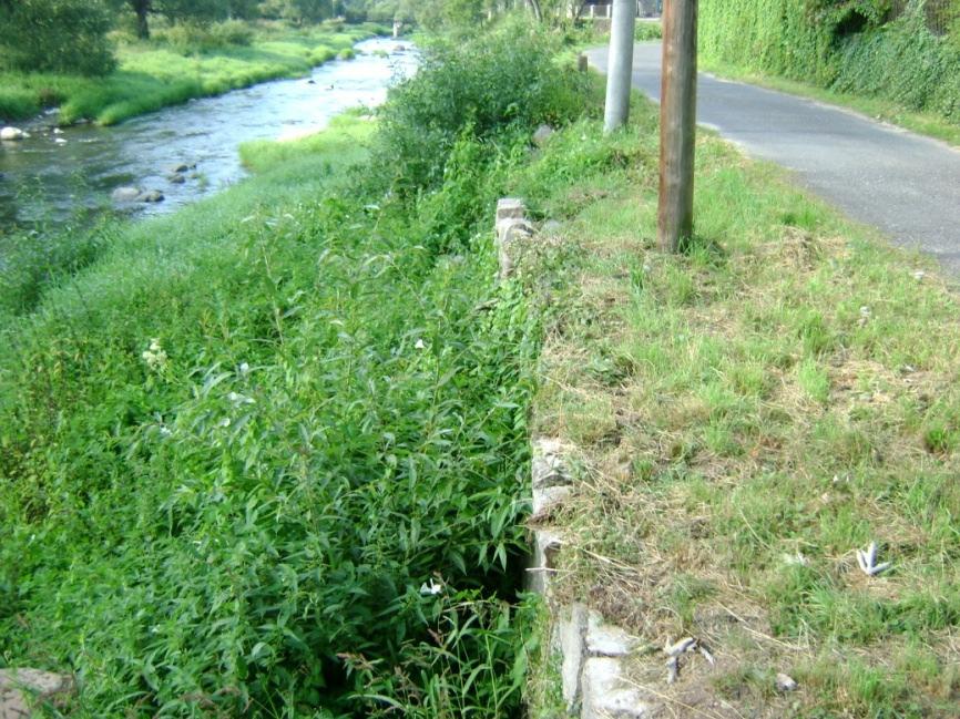 Część muru przeznaczona do odbudowy w wyniku znacznych uszkodzeń. Mur częściowo w dostatecznym oraz częściowo w złym stanie technicznym.