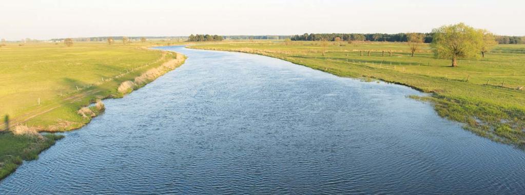 Dane te obejmowały takie parametry jak: temperatura powietrza, temperatura punktu rosy, prędkość wiatru, zachmurzenie oraz nasłonecznienie.