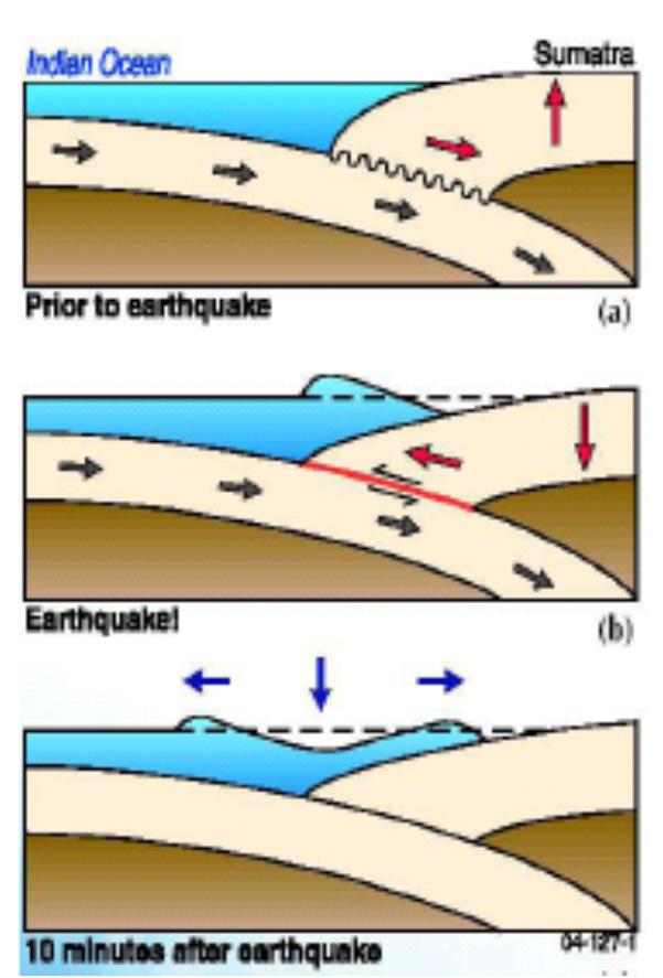 Spośród podoceanicznych trzęsień ziemi, tylko te, w których