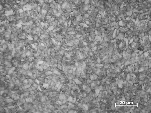 Examples of N18K9M5TPr maraging steel microstructures in the delivery  C-DIC