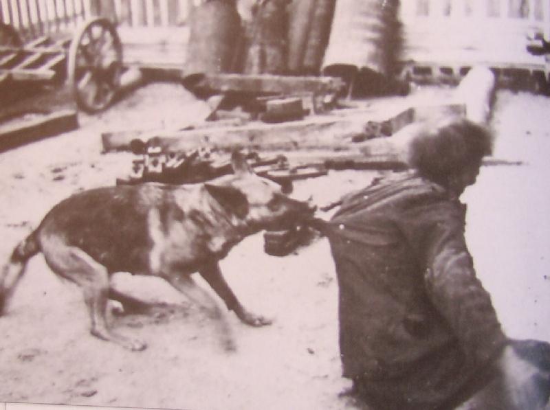 sklepy i warsztaty. Wkrótce część ludności żydowskiej skierowano do obozów pracy. W 1941 r. było już około dwustu takich obozów.
