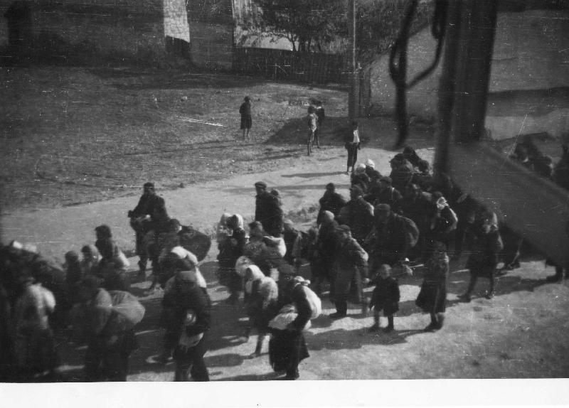 Żydów, którzy przeżyli dzięki Polakom. Szacuje się, że uratowano pomiędzy 30 tys. a 100 tys. polskich Żydów (trudno określić, jaka część z nich była efektem pomocy mieszkańców wsi).