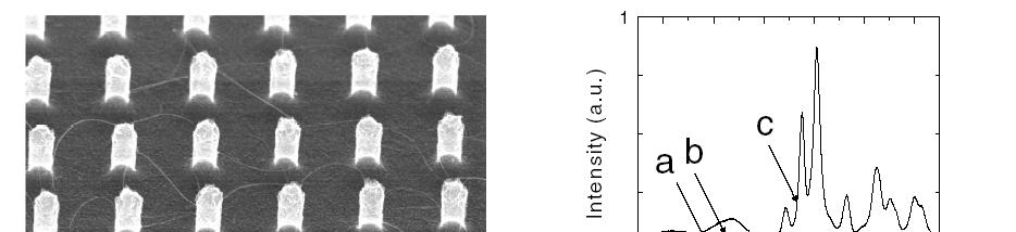 Nanotechnologia może