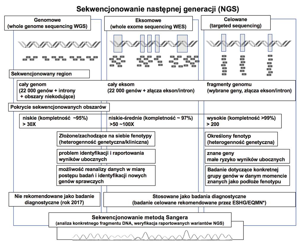 Review papers Dorota Hoffman-Zacharska ści; fragmentów kodujących genomu (eksom) sekwencjonowanie eksomowe (ang.