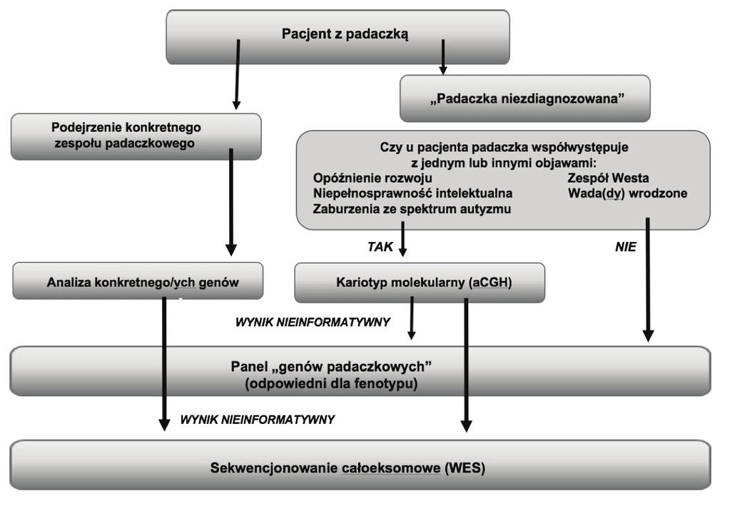 Review papers Dorota Hoffman-Zacharska Ryc. 5. Schemat postępowania diagnostycznego dla pacjentów z padaczką (wg. Helbig K 2016 pilepsygenetics.