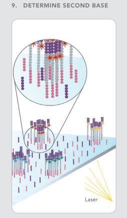 5. Nowe metody odczytywania sekwencji DNA analizator Solexa Odblokowanie i