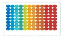 Standardowy PCR RAPD- PCR Nested- PCR Multipleks- PCR Allelospecyficzny PCR