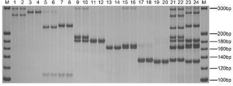 TOUCH DOWN PCR RAPD PCR (Random Amplification of Polymorphic DNA) wykorzystywany gdy nie znamy sekwencji starterów; pozwala namnożyć losowe fragmenty o różnej długości;