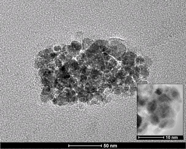 Nanocząstki magnetyczne pokryte skrobią
