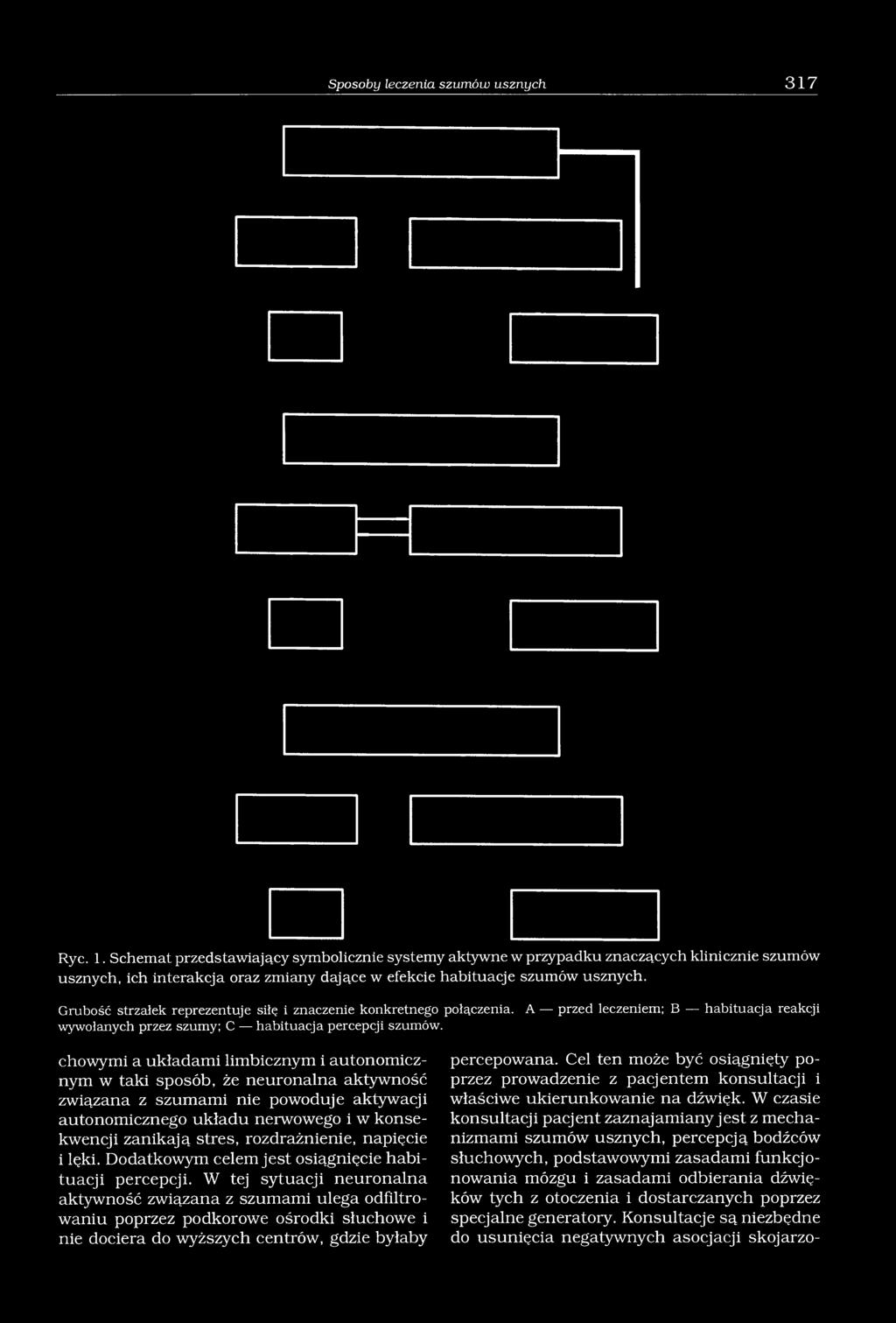 Grubość strzałek reprezentuje siłę i znaczenie konkretnego połączenia. A przed leczeniem; B habituacja reakcji wywołanych przez szumy; C habituacja percepcji szumów.