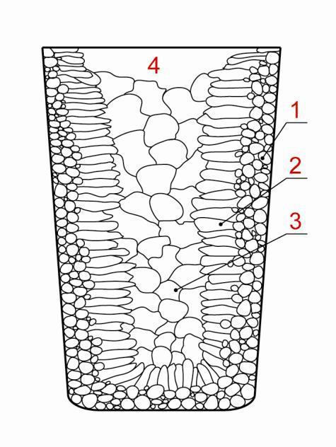 Mikrostruktura wlewka.